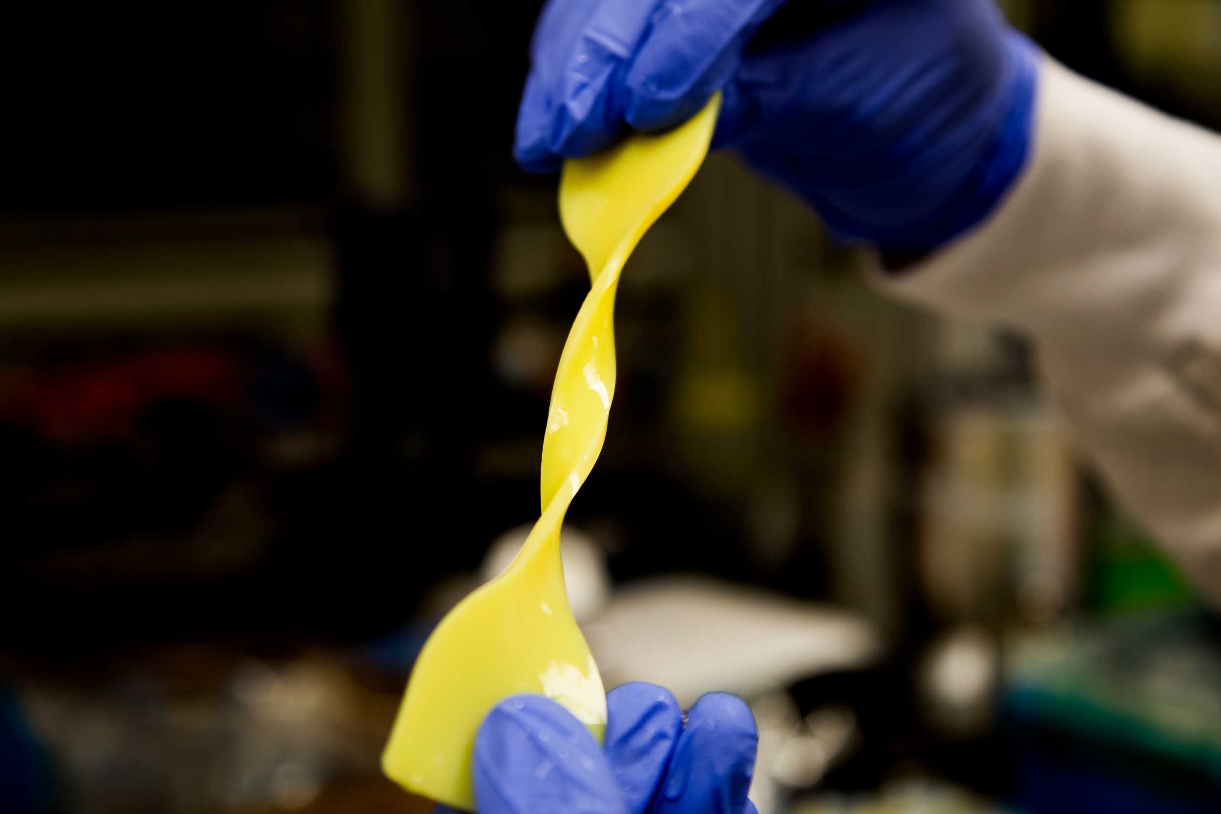 The artificial cartilage is very flexible yet resistant to tearing. Image credit: Joseph Xu, Michigan Engineering