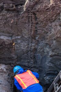 On the first day of the latest dig, researchers took sediment samples at 2-inch intervals from a wall of the excavation pit.