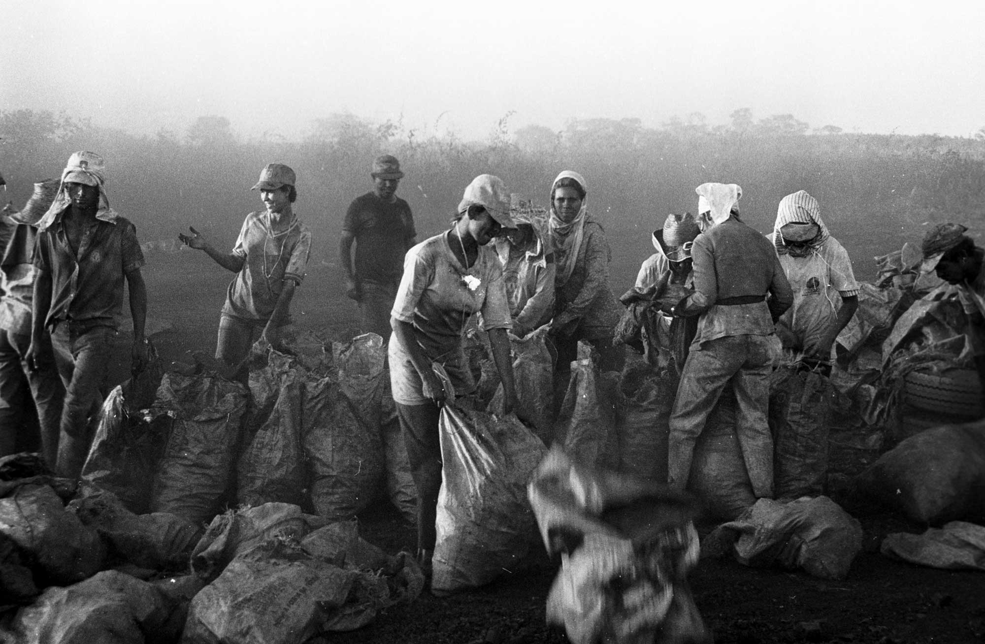 Charcoal processing unit, Mato Grosso do Sul, Brazil. Image credit: João Roberto Ripper