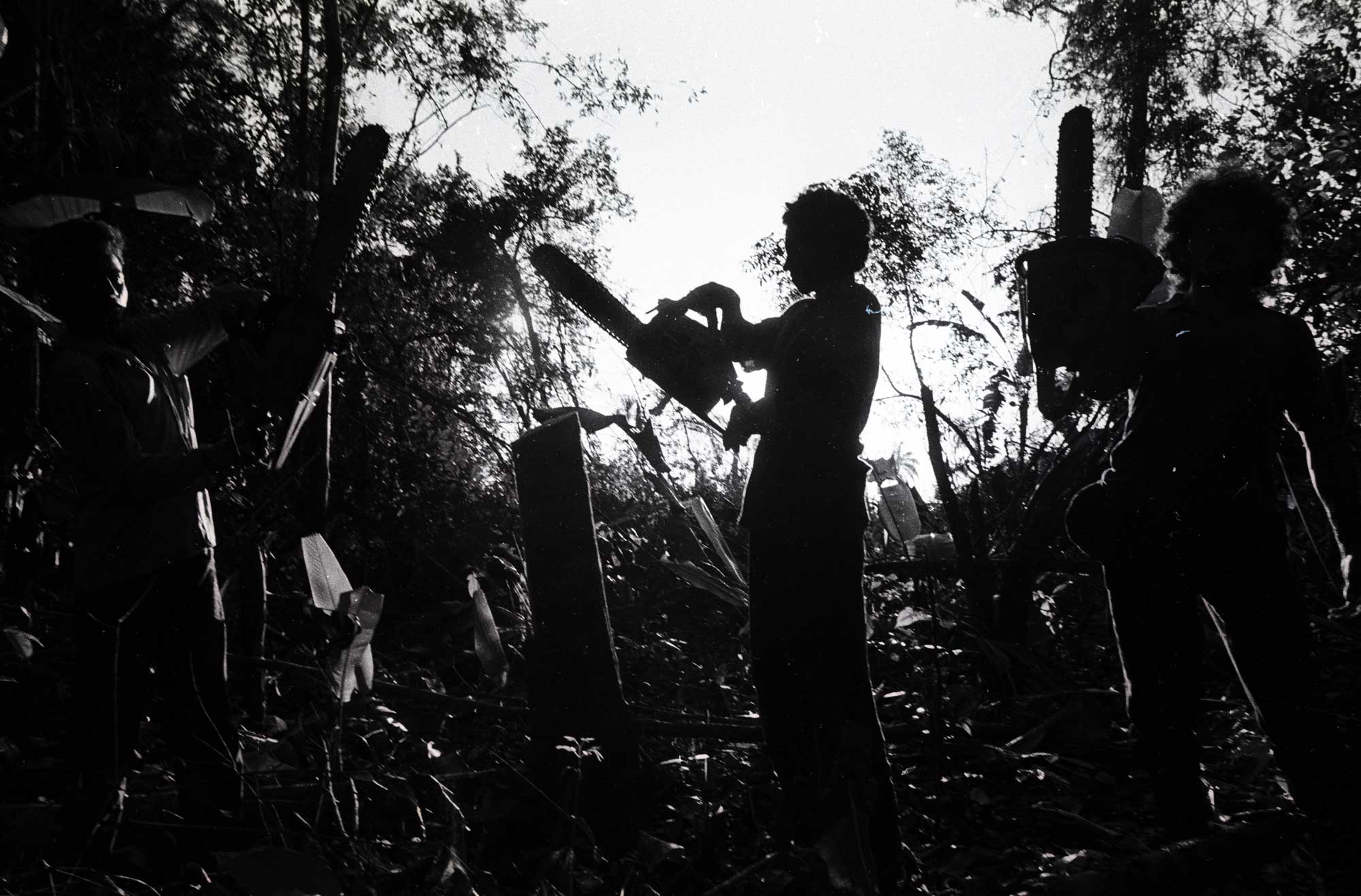 Logging, Santana do Araguaia, Pará, Brazil. Image credit: João Roberto Ripper