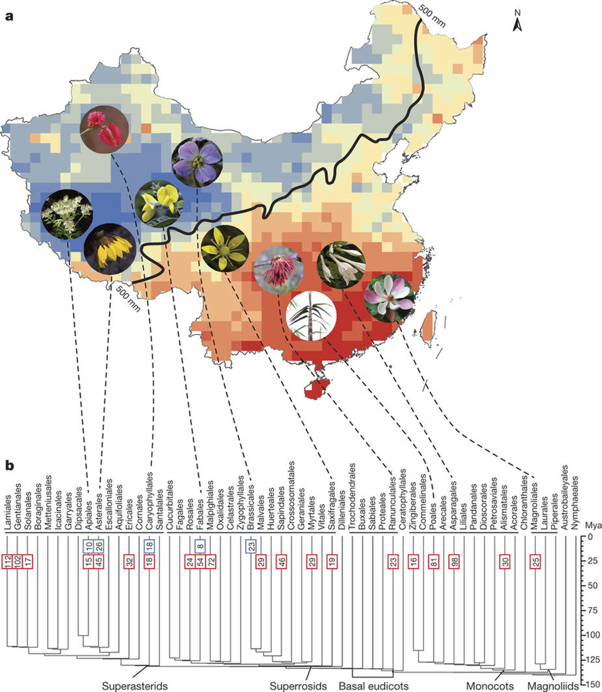 Spatio-temporal divergence patterns of the Chinese angiosperm flora. Image credit: Li-Min Lu et al in Nature