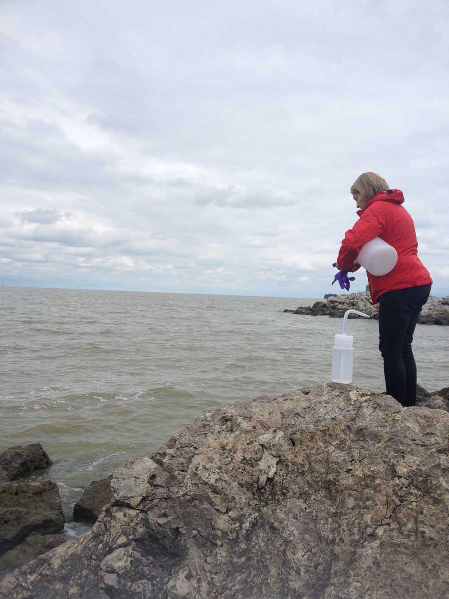 Jessica Axson prepares to collect a freshwater sample from Lake Erie at Maumee Bay State Park in Ohio. The cloudy green tint in the water is due in part to the high concentration of blue-green algae—84 parts per billion—that has caused large harmful algal blooms in the western basin of Lake Erie. Image credit: Nathaniel May