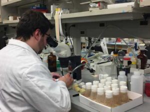 Jon Nelson, a researcher in Yukiko Yamashita's group, uses fruit flies (in flasks at right) to study the role of rDNA in aging. Image credit: Yukiko Yamashita