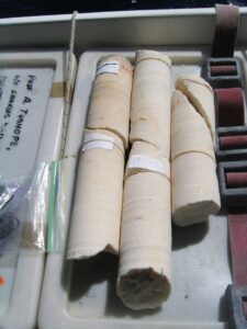 One of the coral cores collected near Wolf Island in the Galapagos in 2010. Samples from the corals were analyzed to produce a continuous record of the region’s ocean temperature from 1940 to 2010. Image credit: Julia Cole