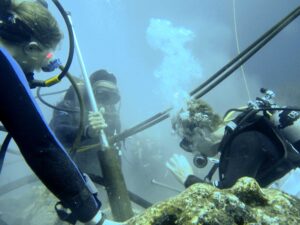 Diane Thompson, left, Roby Pepolas, center, and Sandy Tudhope, right, drilling a Porites lobata coral colony near Wolf Island, in the Galapagos archipelago. Image credit: Jenifer Suarez, courtesy of the Cole lab