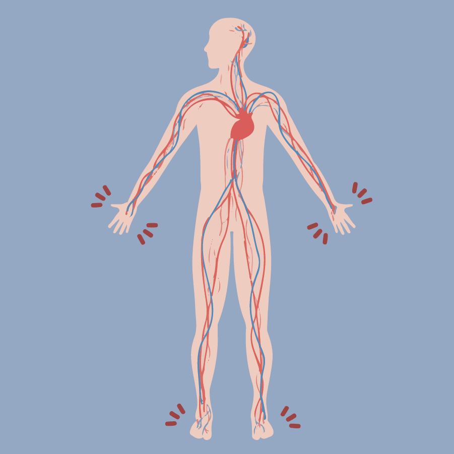 Concept illustration depicting the nervous system. Image credit: Kaitlyn Beukema
