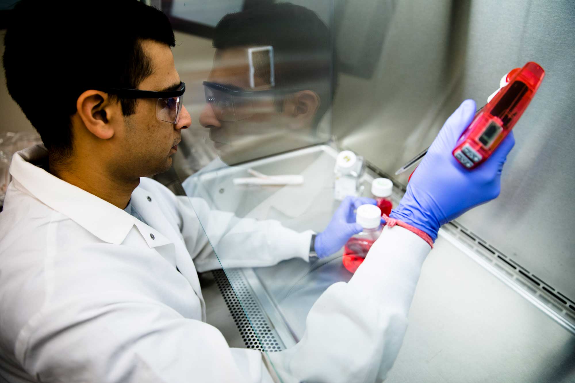 Sumit Bhatnagar, a PhD student in chemical engineering, maintains samples of cancerous cells for use in the development of a pill that could help screen for breast cancer. Tumors are targeted by a molecule that carries a fluorescent imaging agent in order to make earlier and more accurate breast cancer diagnoses. Image credit: Evan Dougherty, Michigan Engineering