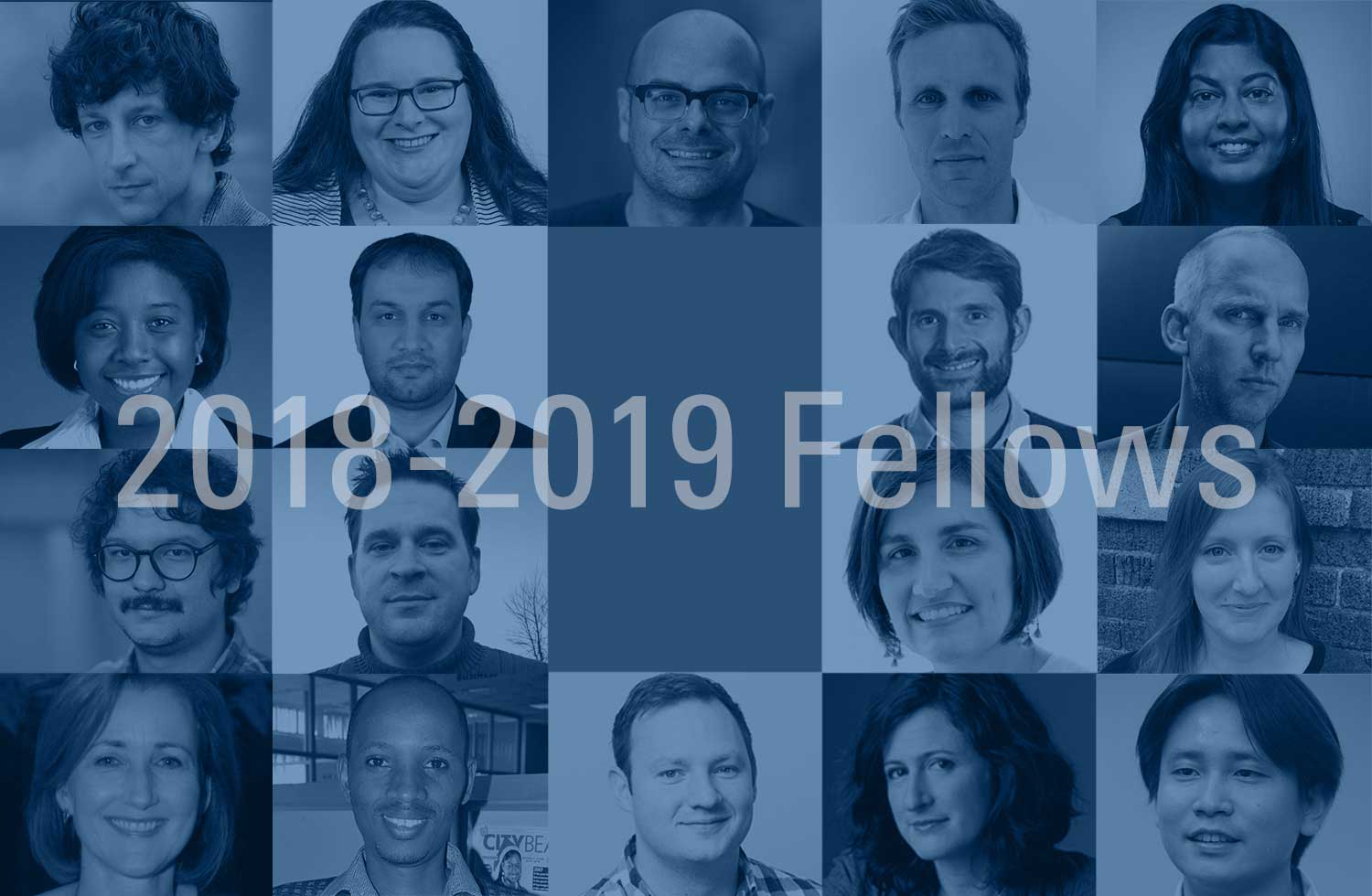2018-2019 Knight Wallace Fellows
