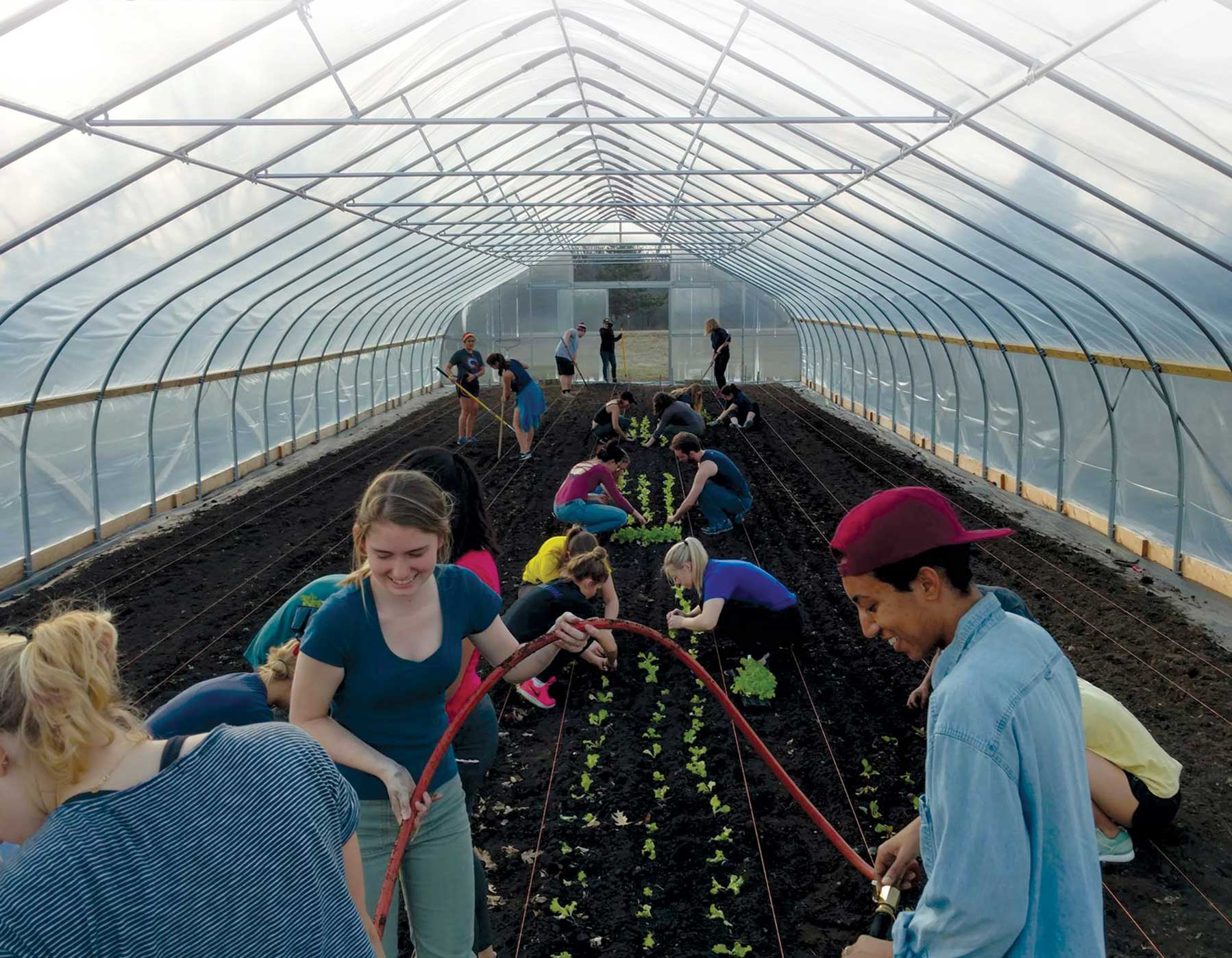 Students plant seedlings in a greenhouse. Image courtesy: Planet Blue
