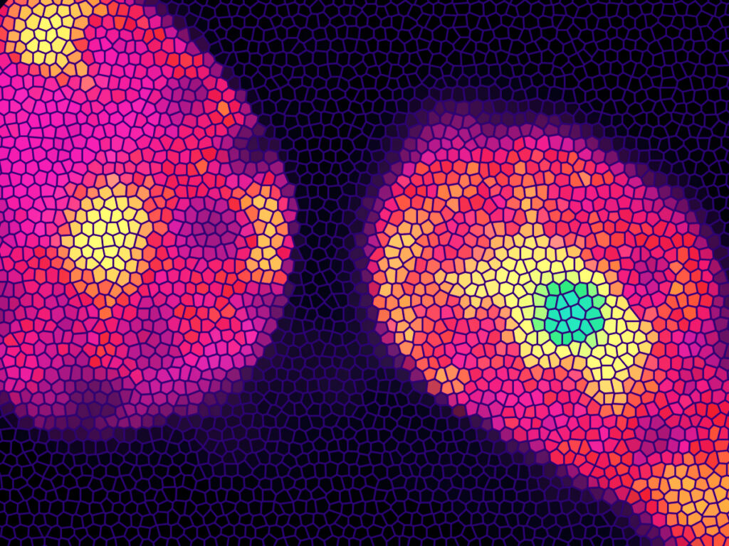  Illustration of thermogenesis in mice beige fat cells in response acetylcholine stimulation. Illustration by Stephanie King, LSI.