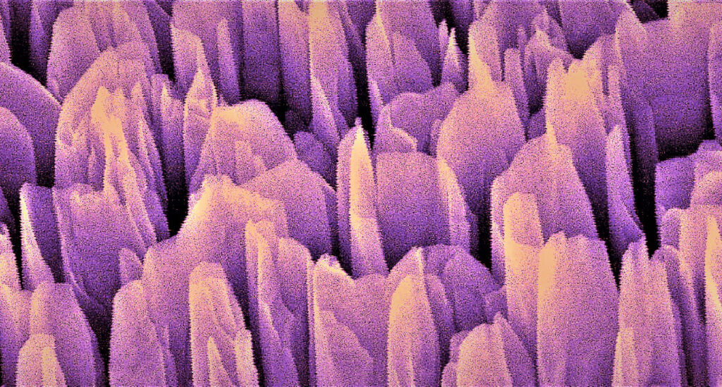 The colorized electron microscope image shows the gallium nitride towers of the artificial photosynthesis device at 52.5k magnification. These nanostructures rip water molecules apart into hydrogen and oxygen to produce clean hydrogen fuel. Image credit: Faqrul A. Chowdhury, McGill University
