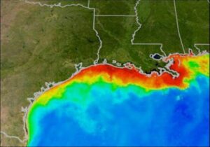 An oxygen-starved hypoxic zone, commonly called a dead zone and shown in red, forms each summer in the Gulf of Mexico. Fish and shellfish either leave the oxygen-depleted waters or die, resulting in losses to commercial and sports fisheries. Image credit: NOAA