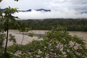 River near the Amazon Basin lake where scientists collected sediment samples for a climate study. Image credit: Luke Alexander Parsons.
