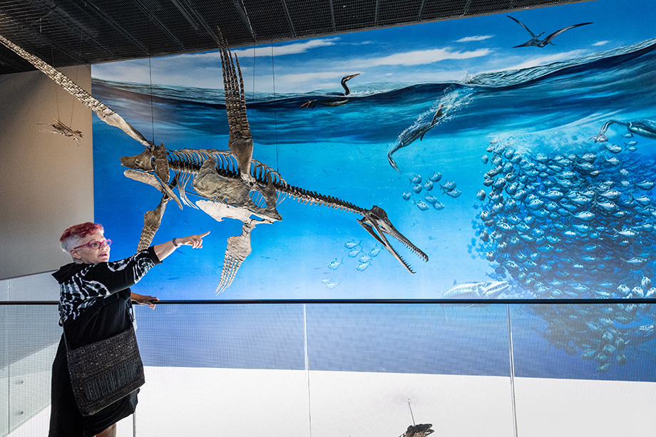 Photo of BSB/Museum Project Manager Lynne Friman in the Museum of Natural History