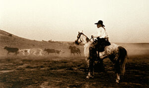 Call drives the herd. (© 1988, Bill Wittliff, Courtesy of The Wittliff Collections, Texas State University.)