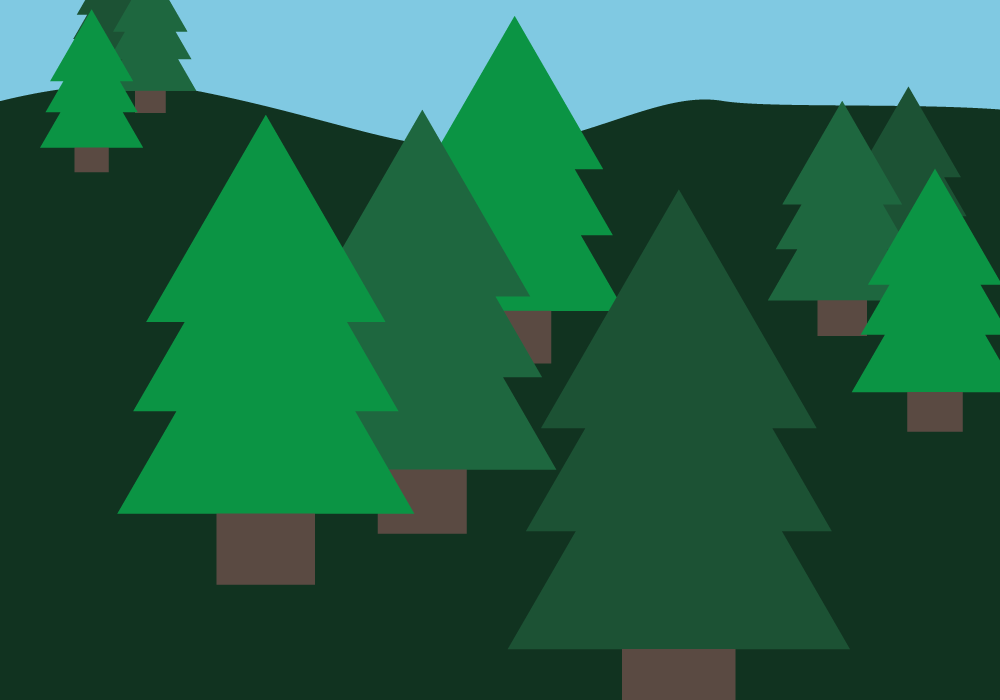 Illustration of a forest. Illustration credit: Kaitlyn Beukema