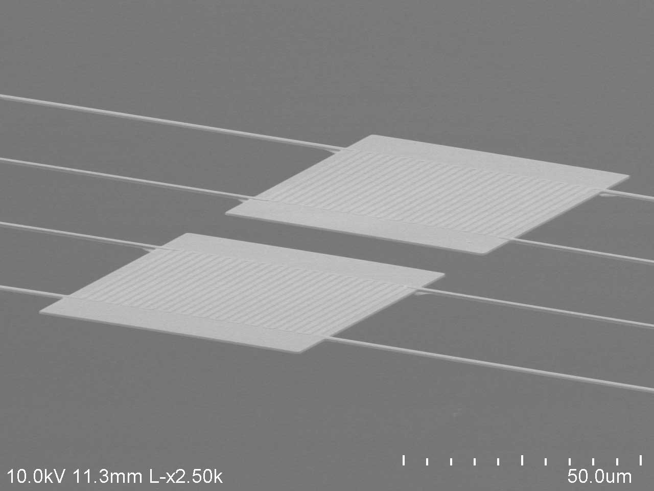 An electron microscope image of the experimental set-up with two plates, each 0.06 x 0.08 mm. At their thinnest, with a thickness of just 0.00027 mm, the heat flow between them was 100 times higher than expected. Image credit: Dakotah Thompson, Michigan Engineering