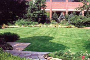Pres back yard, 1999