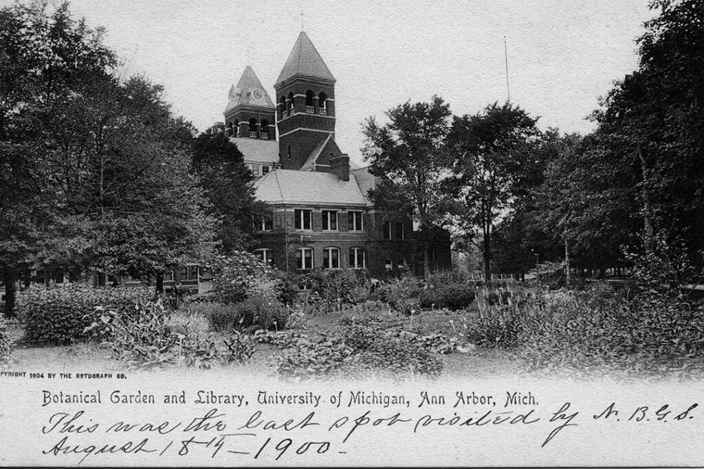 About 1900, professors planted a botanical garden northeast of the president’s  back yard. This view looks westward toward the old General Library, where the Graduate Library stands now.