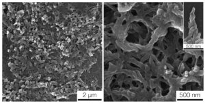 An electron microscope image of twisted nanofibers templated with a liquid crystal. Image credit: Kenneth Cheng, Lahann Lab, Michigan Engineering