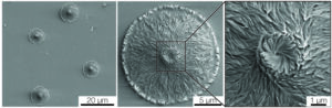 An electron microscope image of curved nanofibers templated onto small spots with a liquid crystal over a patterned slide. Image credit: Kenneth Cheng, Lahann Lab, Michigan Engineering