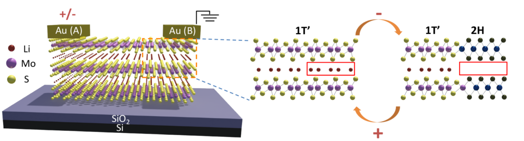 A schematic of the molybdenum disulfide layers with lithium ions between them. On the right, the simplified inset shows how the molybdenum disulfide changes its atom arrangements in the presence and absence of the lithium atoms, between a metal (1T’ phase) and semiconductor (2H phase), respectively. Image credit: Xiaojian Zhu, Nanoelectronics Group, University of Michigan.