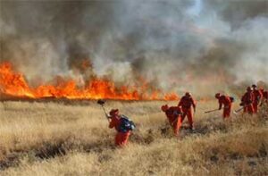 Firefighters at work.