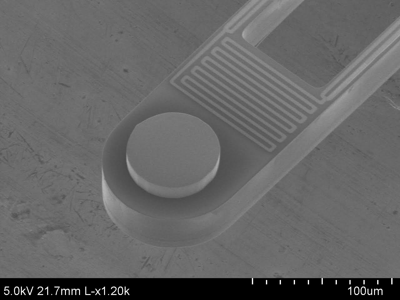 The U-M team made a calorimeter with a sensing area 80 micrometers (0.08 millimeters) across, shown in this electron microscope image. They used the calorimeter to show that an infrared photodiode running with electrodes reversed behaved as if it were at a lower temperature and cooled the calorimeter. Image credit: Linxiao Zhu