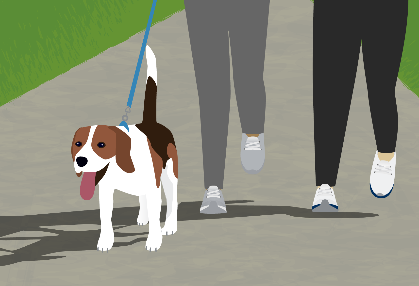 Illustration of two people walking a dog. Image courtesy: Michigan Medicine