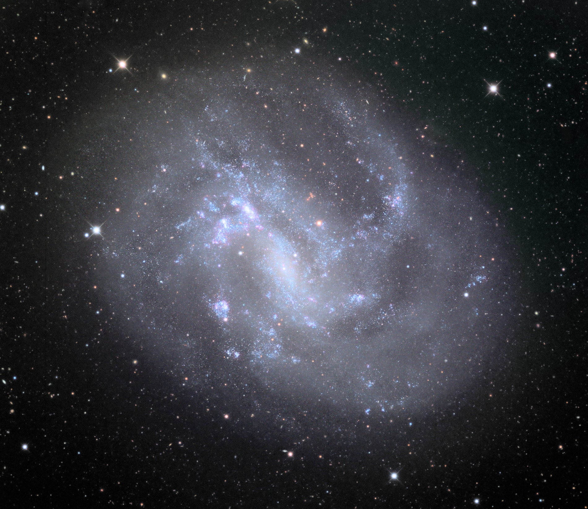 NGC 4395 is imaged with the Schulman Telescope at Mount Lemmon Observatory. Image credit: Adam Block/Mount Lemmon SkyCenter/University of Arizona
