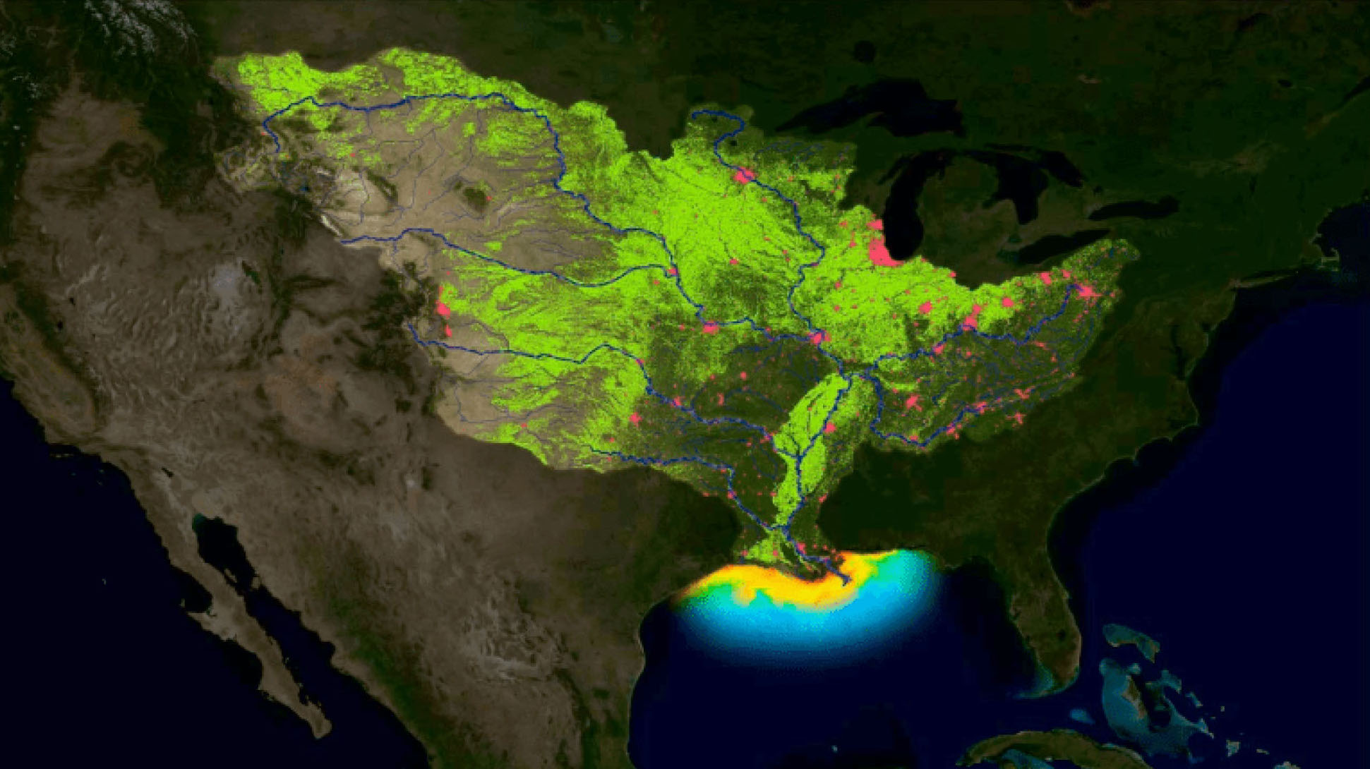 The Mississippi River watershed drains 1.245 million square miles, including all or parts of 31 U.S. states and 2 Canadian provinces. The map illustrates how runoff from farms (green areas) and cities (red areas) drains into the Mississippi, delivering nutrients into the Gulf of Mexico and fueling the annual hypoxic zone. Image credit: NOAA
