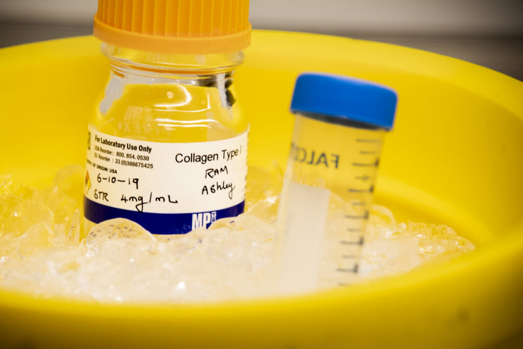 Stegemann's lab envisions a future for this project, lightheartedly called "bone spackle", where you could use cells from other people and have a ready to use, off the shelf bone filling product primed to regenerate bone inside any body. Image credit: Robert Coelius/Michigan Engineering