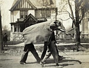 Elephant Costume