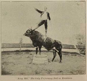 King Bill