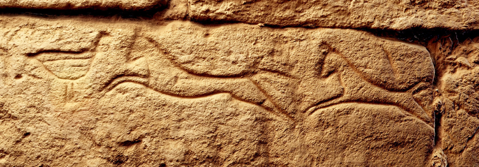 Graffito of two horses and a bird. Image courtesy the International Kurru Archaeological Project, 2016.