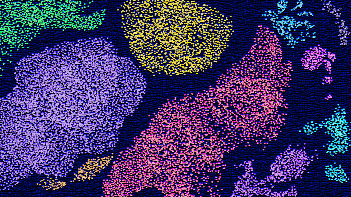 Using single-cell analysis, researchers have produced a high-definition map of the various types of cells operating in the liver. Image credit: Rajani Arora, Life Sciences Institute