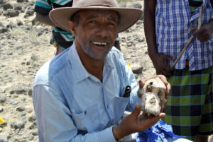 Yohannes Haile-Selassie, PhD with “MRD” cranium. Photograph courtesy of the Cleveland Museum of Natural History