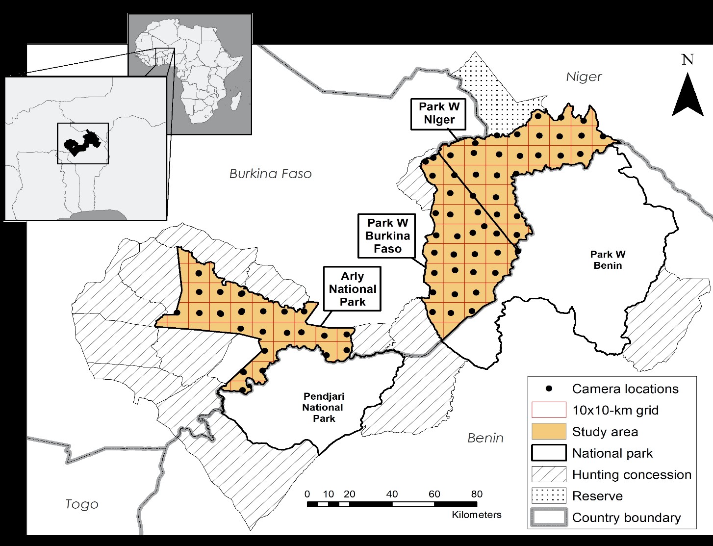 Map showing the location of a University of Michigan-led camera survey of West African wildlife in three national parks: Arly National Park, Park W Niger and Park W Burkina Faso. The parks are part of the largest protected-area complex in West Africa, the W-Arly-Pendjari, or WAP. Image credit: U-M Applied Wildlife Ecology Lab