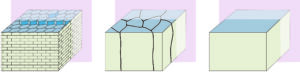 Artist’s renderings of the nanostructures of nacre (left), prismatic calcite (center) and monolithic aragonite (right). The outside of fan mussel shells are made mainly of prismatic calcite, while nacre is made up mainly of aragonite. Image courtesy of the Hovden Lab