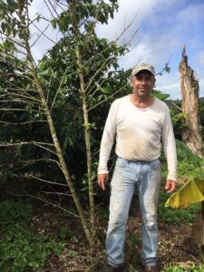 Puerto Rican coffee farmer Raul Toledo standing next to a coffee tree stripped of its leaves by Hurricane Maria winds. The trunk of the large tree behind Toledo snapped during the storm. Image credit: Ivette Perfecto