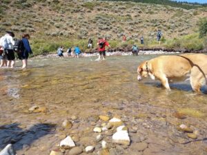 Camp Davis alumni hike river. (Image: Jeff Burtka.)