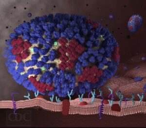 Flu virus graphic
