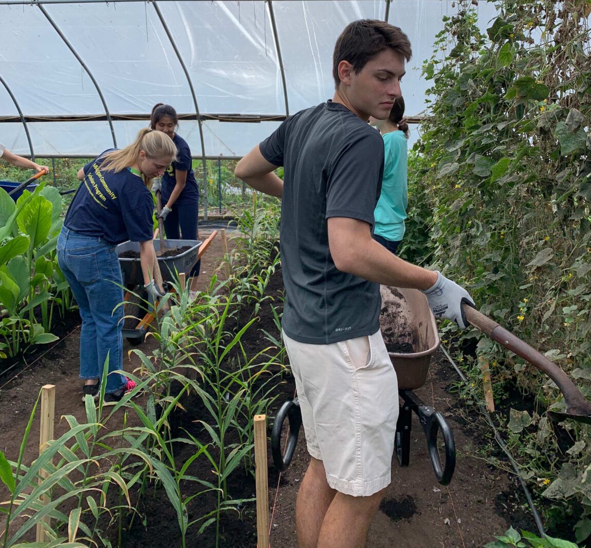 U-M student Jack Light, foreground, spreads topsoil with fellow students, from left to right, Jordan Manley, Sarah Ong and Sarah Pisarczyk. The students are Michigan Community Scholars Program members and were working at Growing Hope Urban Farm in Ypsilanti. (Photo by Emily Welch)