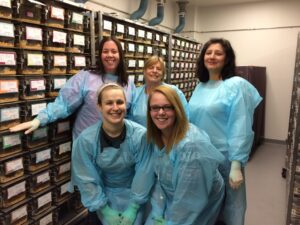 Lab team