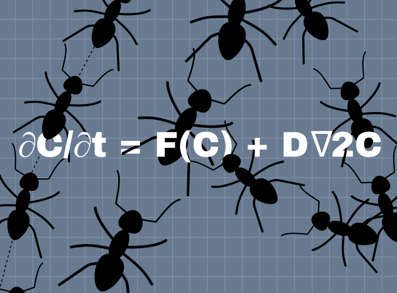 Illustration of ants on top of the Turing equation. Image credit: Chloe Oliva