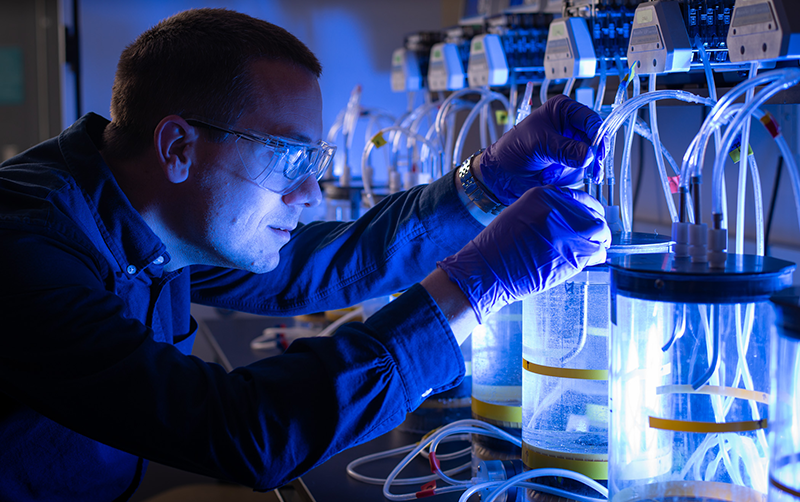 A researcher examines scientific aparatus. Image courtesy: U-M Office of Research