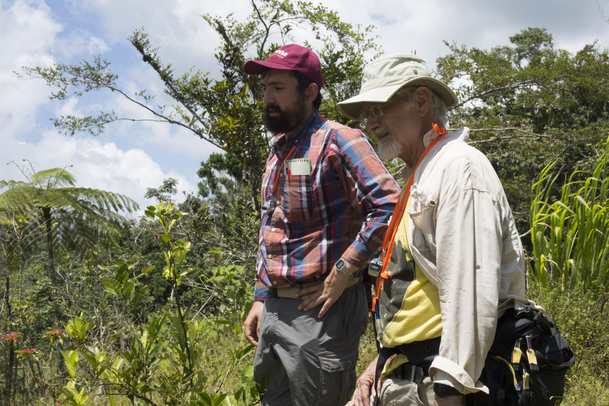 In this July 2018 photo, U-M doctoral student Zachary Hajian-Forooshani and U-M ecologist John Vandermeer survey a Puerto Rican coffee farm damaged less than a year earlier by Hurricane Maria. Image credit: Levi Stroud, U-M College of LSA