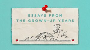 Graphic from Guisewite book cover