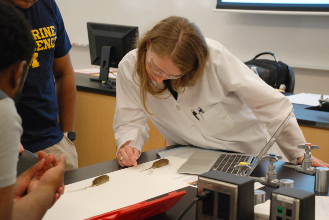 Lecturer Cindee Giffen confers with students on their lab project.