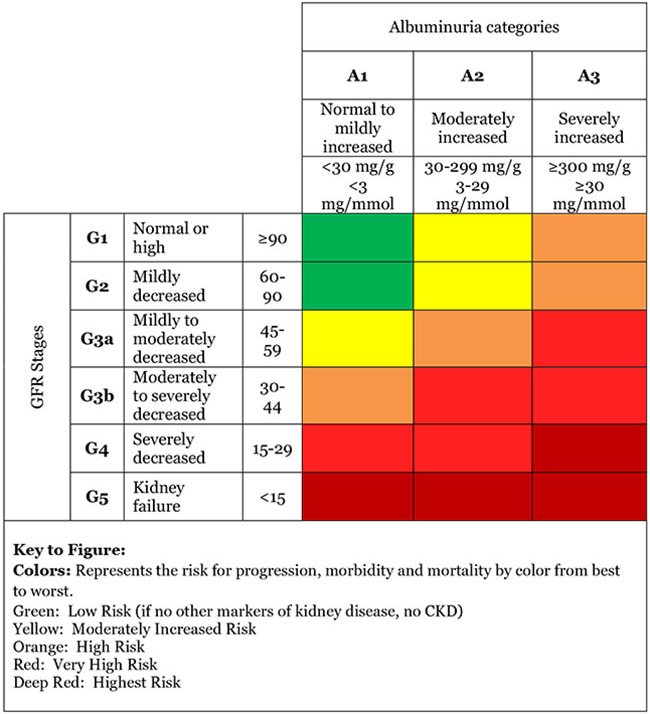 Chart re: CKD